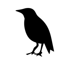bird silhouettes vector
