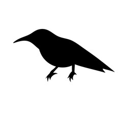 bird silhouettes vector
