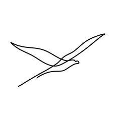 Obraz premium One line birds 