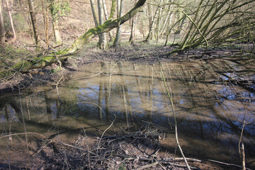 Queens Hill Costessey Norwich, United Kingdom, March 2, 2025. Views from Queens Hill Forest