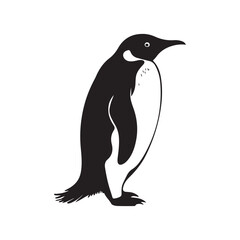Obraz premium penguin silhouette icon vector illustration