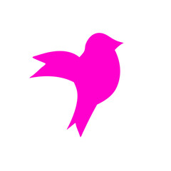 Colorful bird flat design