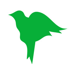 Colorful bird flat design