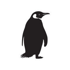 Fototapeta premium penguin silhouette icon vector illustration