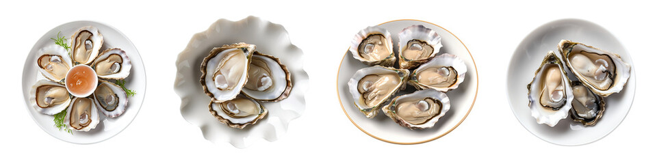 Set of fresh raw oysters served on white plates isolated on transparent background