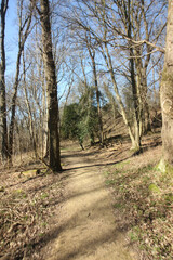 Obraz premium Queens Hill Costessey Norwich, United Kingdom, March 2, 2025. Views from Queens Hill Forest