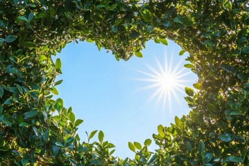 A heart-shaped opening in green leaves revealing a bright blue sky and sun.
