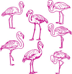 Obraz premium set of pink flamingo bird silhouette rubber stamps