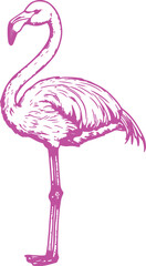 Obraz premium pink flamingo bird silhouette rubber stamp