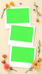 Obraz premium Collage Mockup photo, boho and aesthetic mockup photo collage, greenscreen collage mockup