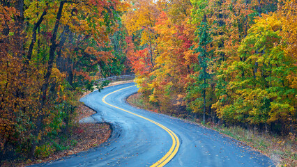 Fototapeta premium Road through woods with brightly colored autumn leaves on the trees