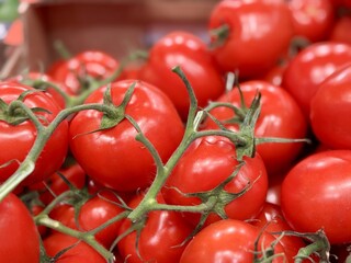 Fresh red tomatoes on a twig in containers put up for sale at a supermarket vegetable stand, demonstrates organic, vegetarian and healthy food. Close-up