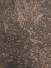 Dark rock surface showing intricate natural patterns in prague in palmovka Liben district Thomayer Gardens