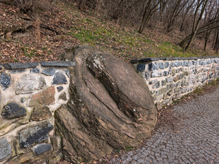 Large boulder emerging from cobblestone path and stone wall in prague in palmovka Liben district Thomayer Gardens