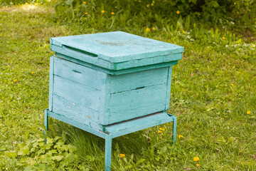 wooden beehive. Agricultural apiary