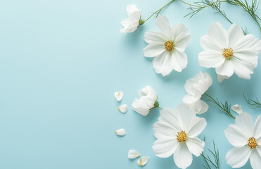 A beautiful bunch of white flowers displayed on a blue background