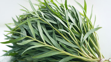 Obraz premium Fresh tarragon bunch on white