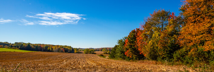 Colorful Wisconsin forest and farmland in early October