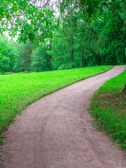 Path in a park with trees and grass