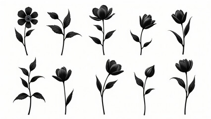 collection pattern of black flower and black leaf on white background,seamless,isolated on white ,clip art
