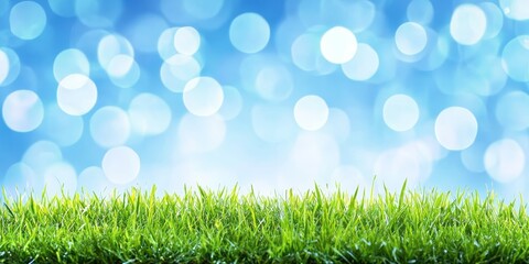 Obraz premium Green, Lush Grass Against a Bright Blue Sky with Dreamy Bokeh, Spring Nature Background