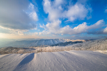 winter landscape with snow