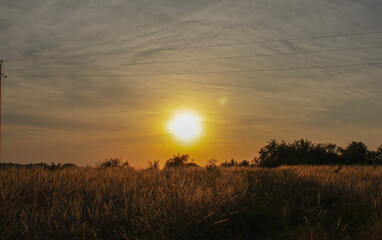 sunrise over the field