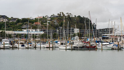 Napier Marina New Zealand