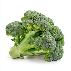 broccoli isolated on white background
