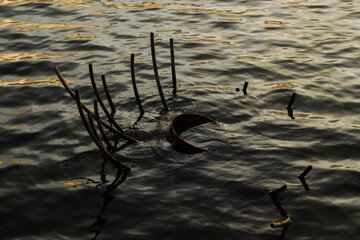 Unusual Abstract Object Littering the Rippled Water