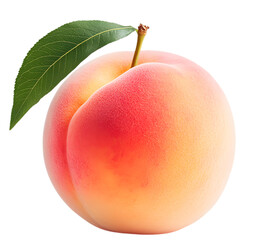 High-Resolution Photograph of an Peach - PNG