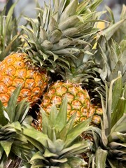 Obraz premium Pineapple fruit which display for sale in supermarket. Close-up
