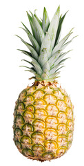 Obraz premium High-Resolution Photograph of an Pineapple - PNG