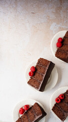 Pastel Vegano de Chocolate con Frambuesas – Intensidad y Frescura en Cada Bocado