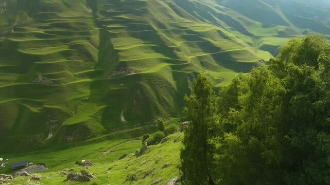 Drone footage of Maltas Canyon, Dagestan, featuring moss-covered mountains, alpine trees, golden sunlight, and cloud shadows over the rugged landscape.