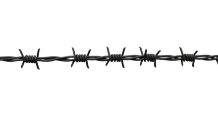 barbed wire, border wire, cutout, steel wire, restricted zone, protective barrier