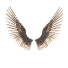 Obraz premium open wings isolated on transparent background, PNG, high resolution, dreamlike, flying,