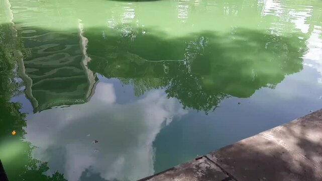 Hermosa fuente en el corazon de la ciudad