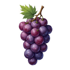 Fototapeta premium bunch of grapes