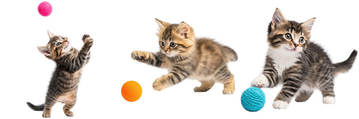 Three cute tabby kittens playing with colorful balls. Kittens isolated on white background.