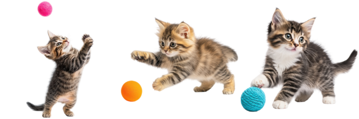 Three cute tabby kittens playing with colorful balls. Kittens isolated on white background.