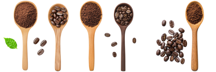 Coffee beans and ground coffee in wooden spoons. Concept of coffee, caffeine, and beverage.