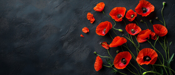 Bright spring poppies scattered on a dark textured canvas, creating a striking floral composition