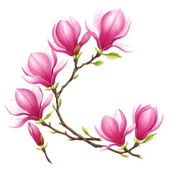 Obraz premium Watercolor illustration of a pink magnolia flower bouquet, featuring a lovely arrangement against a white backdrop, perfect for spring vibes.