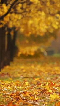 An Autumn Scene With a Pathway Covered With Fallen Leaves in an Inviting Atmosphere.
