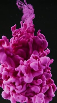 A Close-up View of Pink and Purple Ink Swirling in Water Against a Black Background.