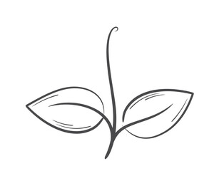 Sprouted plant line illustration. Spring, planting and nature design element. Isolated vector image
