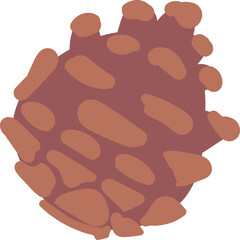 Pine cone from autumn forest