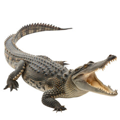 Naklejka premium Crocodile AI Generated Image