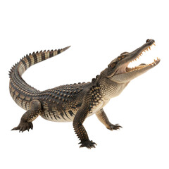 Fototapeta premium Crocodile AI Generated Image